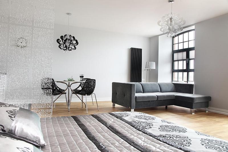 Loft Apartment Lodz (Lodz)